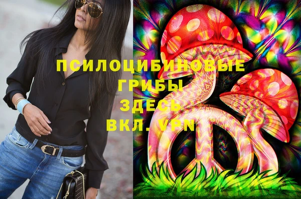 амф Бронницы