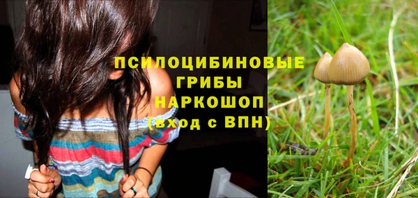 амф Бронницы