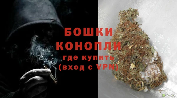 амф Бронницы