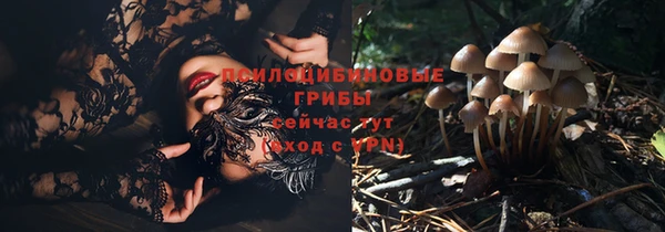 хмурый Балабаново