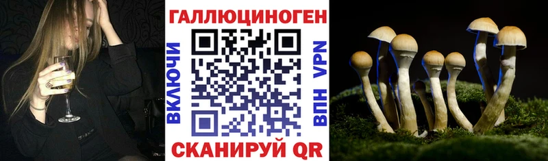 Псилоцибиновые грибы мицелий Тутаев
