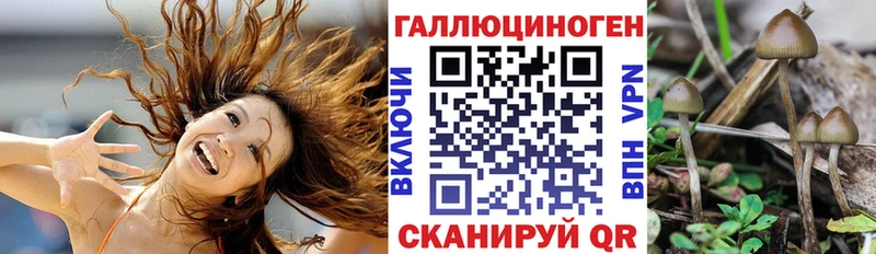 Галлюциногенные грибы MAGIC MUSHROOMS  kraken зеркало  Тутаев 