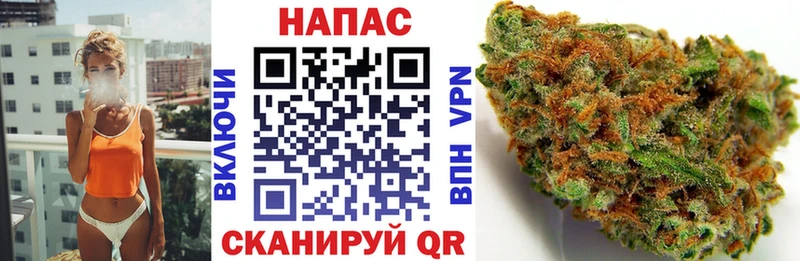 Шишки марихуана ГИДРОПОН  KRAKEN ссылки  Тутаев 